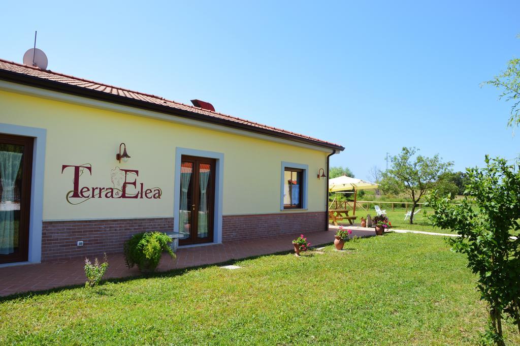Agriturismo Terra Di Elea Azienda Agricola Di Raimondo Michela Ascea Exterior photo