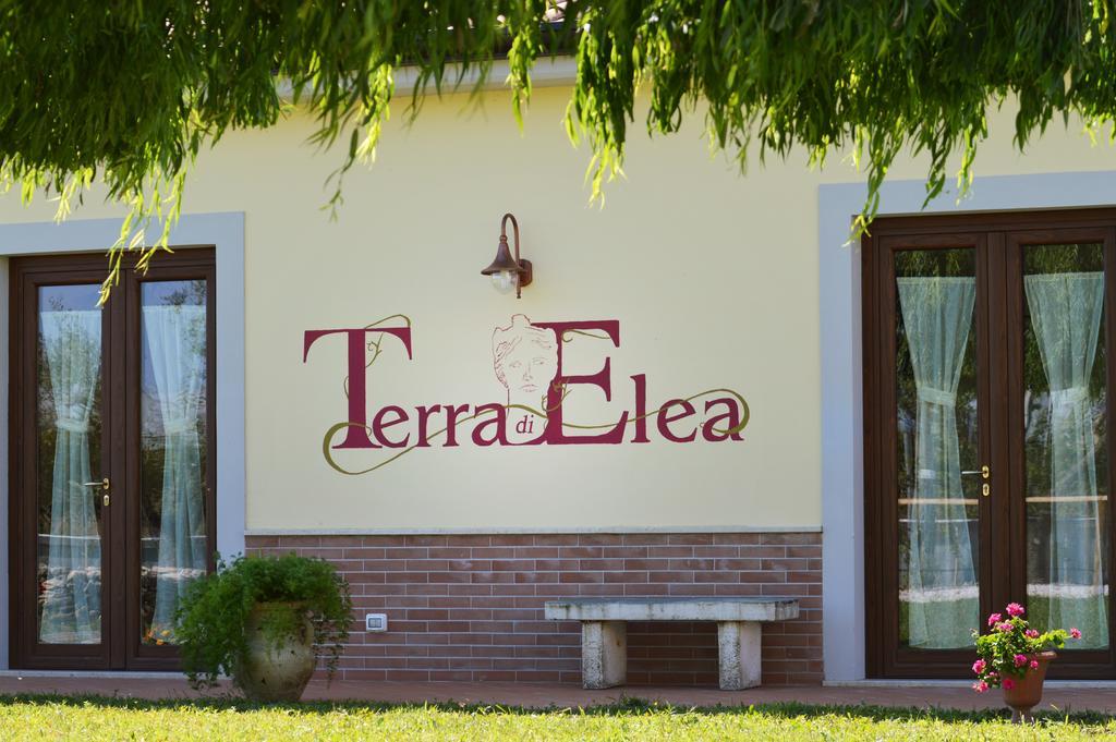 Agriturismo Terra Di Elea Azienda Agricola Di Raimondo Michela Ascea Exterior photo